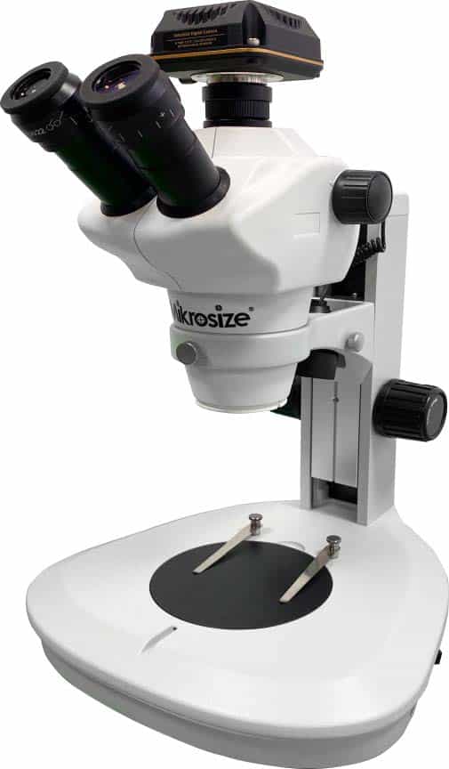 iStereo 211VT Stereo Microscope图（2）